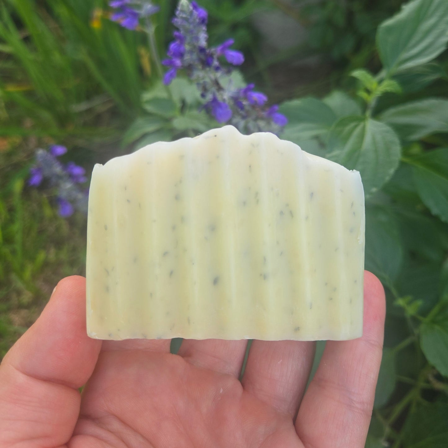 CREOLE LOUISE SOAP - Lavender Lime