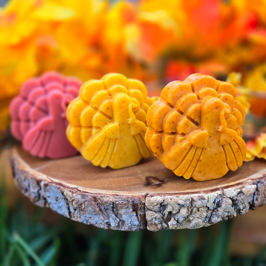 Fall Turkey Soap PREORDER!!! Ships out Sept 22nd.