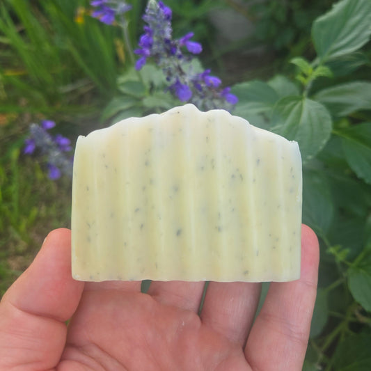 CREOLE LOUISE - Lavender Lime Soap