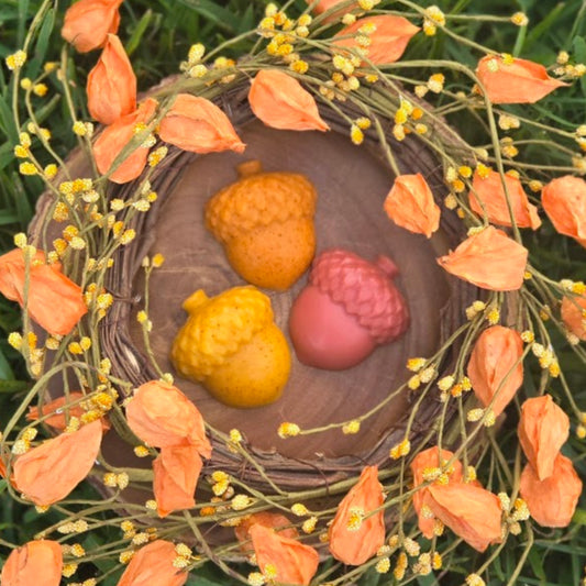 Fall Acorn Soap PREORDER!!! Ships out Sept 22nd.