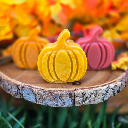 Standing Pumpkin Soap PREORDER!!! Ships out Sept 22nd.