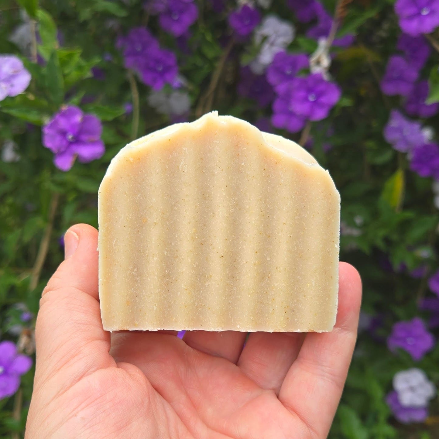 Goats n Oats Soap