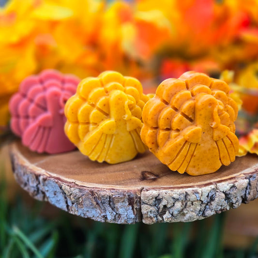 Fall Turkey Soap